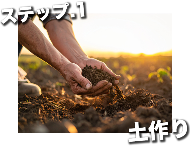 弱った土壌を健康にする